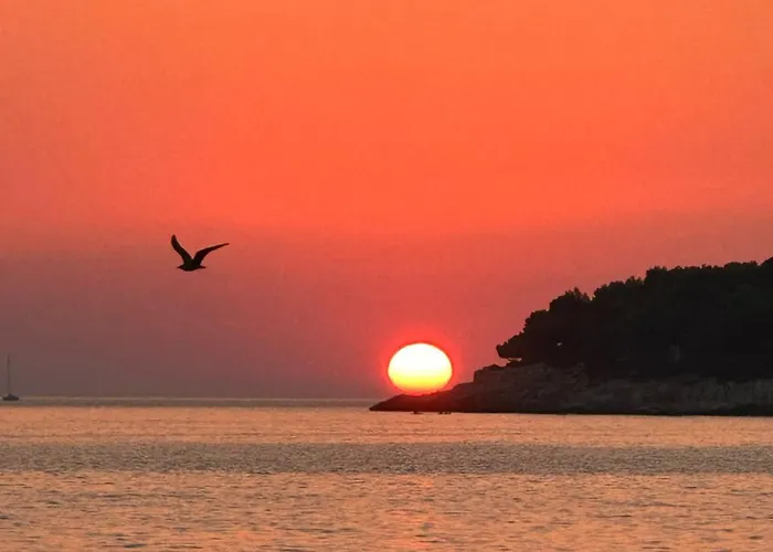 Διαμέρισμα Lux In Downtown